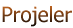 Projeler